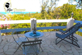Studio 26m2 Terrasse VUE MER PISCINE 5min Plage de la TESTA 20144